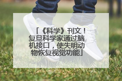 《科学》刊文！复旦科学家通过脑机接口，使失明动物恢复视觉功能