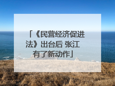 《民营经济促进法》出台后 张江有了新动作