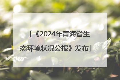 《2024年青海省生态环境状况公报》发布