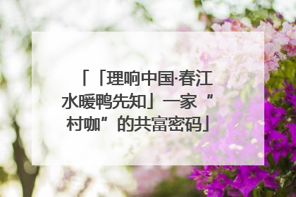 「理响中国·春江水暖鸭先知」一家“村咖”的共富密码