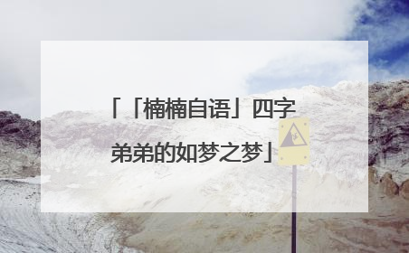 「楠楠自语」四字弟弟的如梦之梦