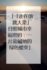 「走在前 挑大梁」日照城市幸福密码：一片盐碱地的绿色蝶变