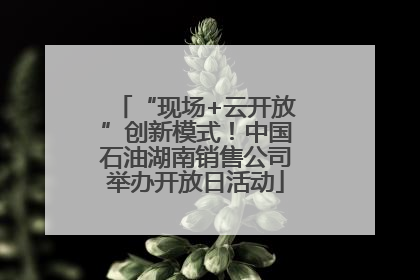 “现场+云开放”创新模式！中国石油湖南销售公司举办开放日活动
