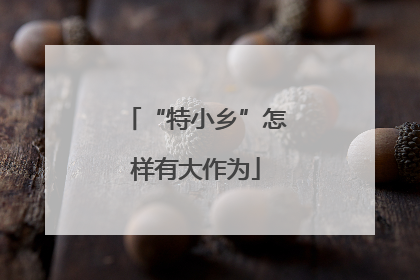 “特小乡”怎样有大作为