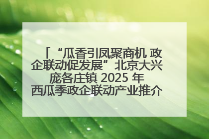 “瓜香引凤聚商机 政企联动促发展”北京大兴庞各庄镇 2025 年西瓜季政企联动产业推介活动圆满举行