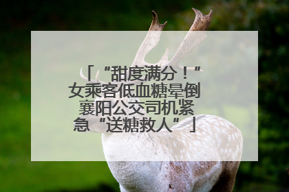 “甜度满分！”女乘客低血糖晕倒 襄阳公交司机紧急“送糖救人”