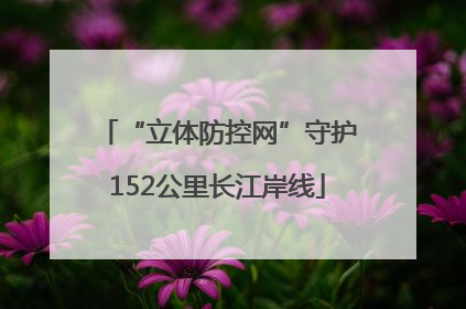 “立体防控网”守护152公里长江岸线