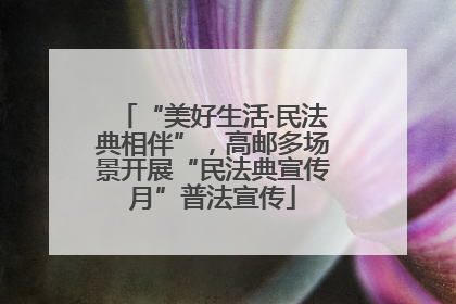 “美好生活·民法典相伴”，高邮多场景开展“民法典宣传月”普法宣传