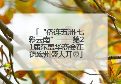 “侨连五洲·七彩云南”——第21届东盟华商会在德宏州盛大开幕