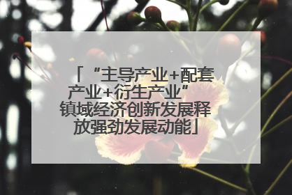 “主导产业+配套产业+衍生产业” 镇域经济创新发展释放强劲发展动能