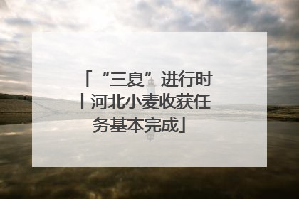“三夏”进行时丨河北小麦收获任务基本完成
