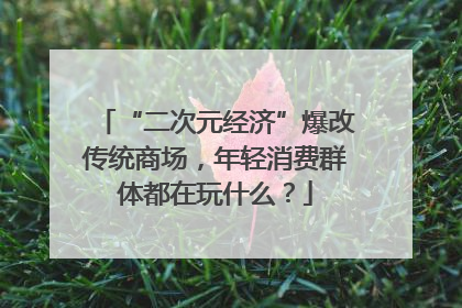 “二次元经济”爆改传统商场，年轻消费群体都在玩什么？