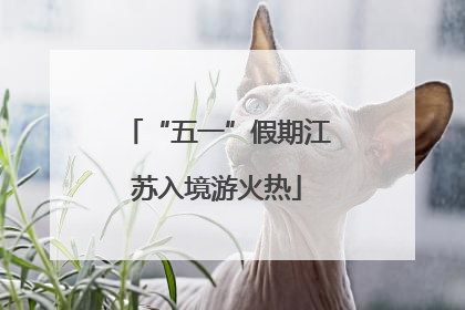 “五一”假期江苏入境游火热