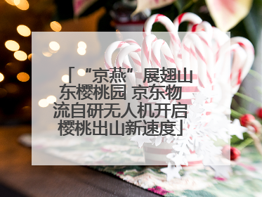 “京燕”展翅山东樱桃园 京东物流自研无人机开启樱桃出山新速度