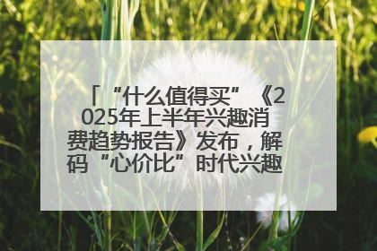 “什么值得买”《2025年上半年兴趣消费趋势报告》发布，解码“心价比”时代兴趣消费新范式