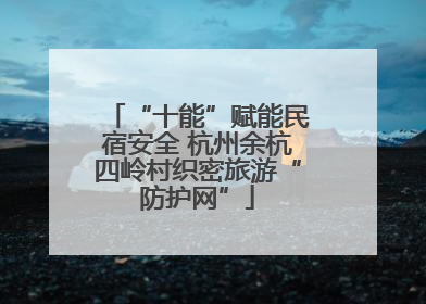 “十能”赋能民宿安全 杭州余杭四岭村织密旅游“防护网”