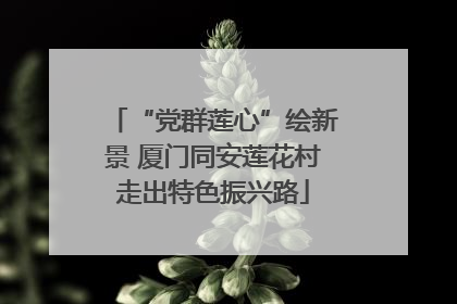 “党群莲心”绘新景 厦门同安莲花村走出特色振兴路