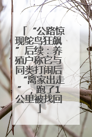 “公路惊现鸵鸟狂飙”后续：养殖户称它与同类打闹后“离家出走”，跑了1公里被找回