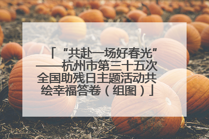 “共赴一场好春光”——杭州市第三十五次全国助残日主题活动共绘幸福答卷（组图）