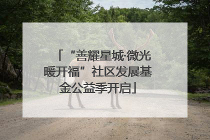 “善耀星城·微光暖开福”社区发展基金公益季开启