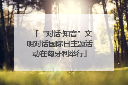 “对话·知音”文明对话国际日主题活动在匈牙利举行