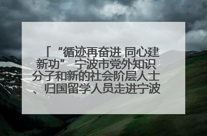“循迹再奋进 同心建新功” 宁波市党外知识分子和新的社会阶层人士、归国留学人员走进宁波舟山港穿山港区