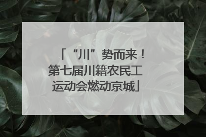 “川”势而来！第七届川籍农民工运动会燃动京城