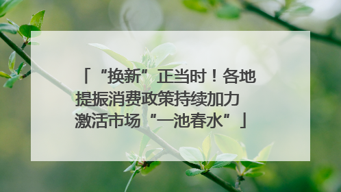 “换新”正当时！各地提振消费政策持续加力 激活市场“一池春水”