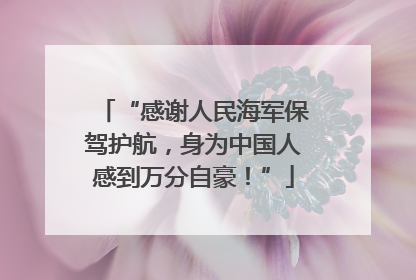 “感谢人民海军保驾护航，身为中国人感到万分自豪！”