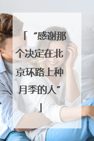 “感谢那个决定在北京环路上种月季的人”