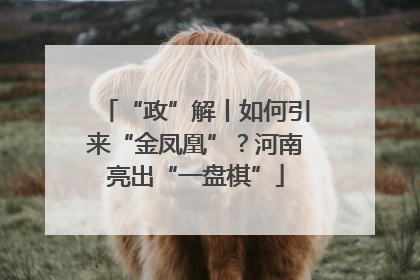 “政”解丨如何引来“金凤凰”？河南亮出“一盘棋”