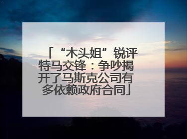 “木头姐”锐评特马交锋：争吵揭开了马斯克公司有多依赖政府合同