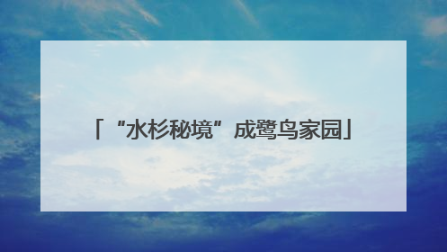 “水杉秘境”成鹭鸟家园