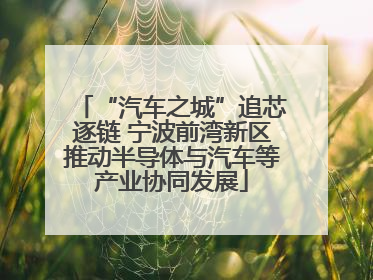 “汽车之城”追芯逐链 宁波前湾新区推动半导体与汽车等产业协同发展