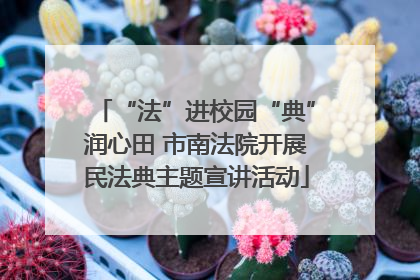 “法”进校园“典”润心田 市南法院开展民法典主题宣讲活动