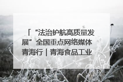 “法治护航高质量发展”全国重点网络媒体青海行｜青海食品工业协会：架起“青字号”美食的产业化桥梁