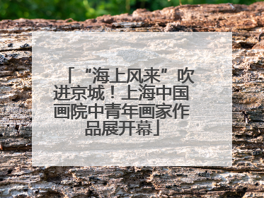 “海上风来”吹进京城！上海中国画院中青年画家作品展开幕