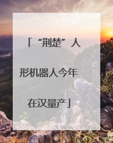 “荆楚”人形机器人今年在汉量产