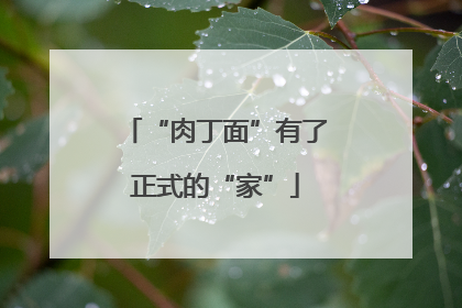 “肉丁面”有了正式的“家”