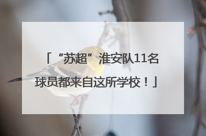 “苏超”淮安队11名球员都来自这所学校！