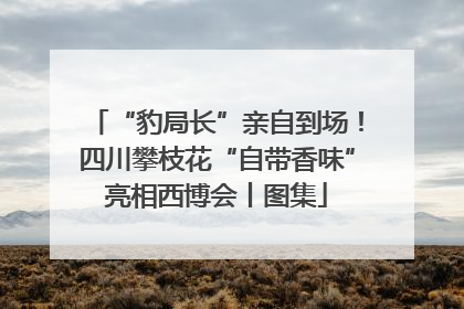 “豹局长”亲自到场！四川攀枝花“自带香味”亮相西博会丨图集
