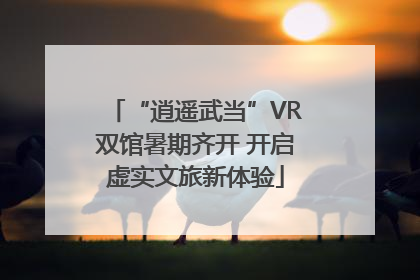 “逍遥武当”VR双馆暑期齐开 开启虚实文旅新体验