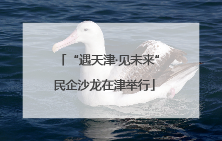 “遇天津·见未来”民企沙龙在津举行