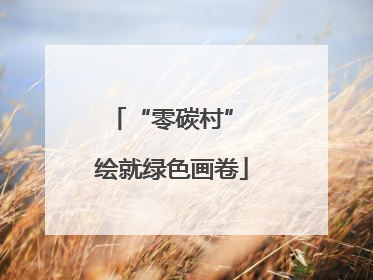 “零碳村” 绘就绿色画卷