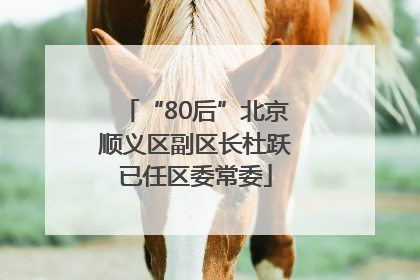 “80后”北京顺义区副区长杜跃已任区委常委