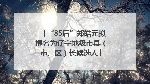 “85后”郑皓元拟提名为辽宁地级市县（市、区）长候选人