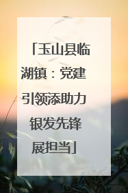 玉山县临湖镇：党建引领添助力 银发先锋展担当