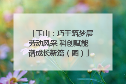 玉山：巧手筑梦展劳动风采 科创赋能谱成长新篇（图）
