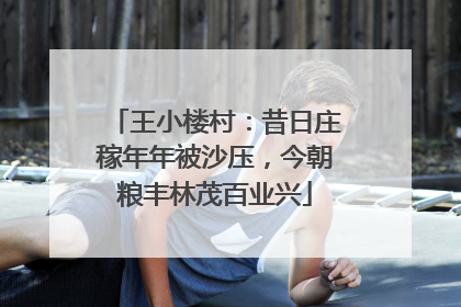 王小楼村：昔日庄稼年年被沙压，今朝粮丰林茂百业兴