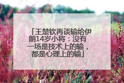 王楚钦再谈输给伊朗14岁小将：没有一场是技术上的输，都是心理上的输